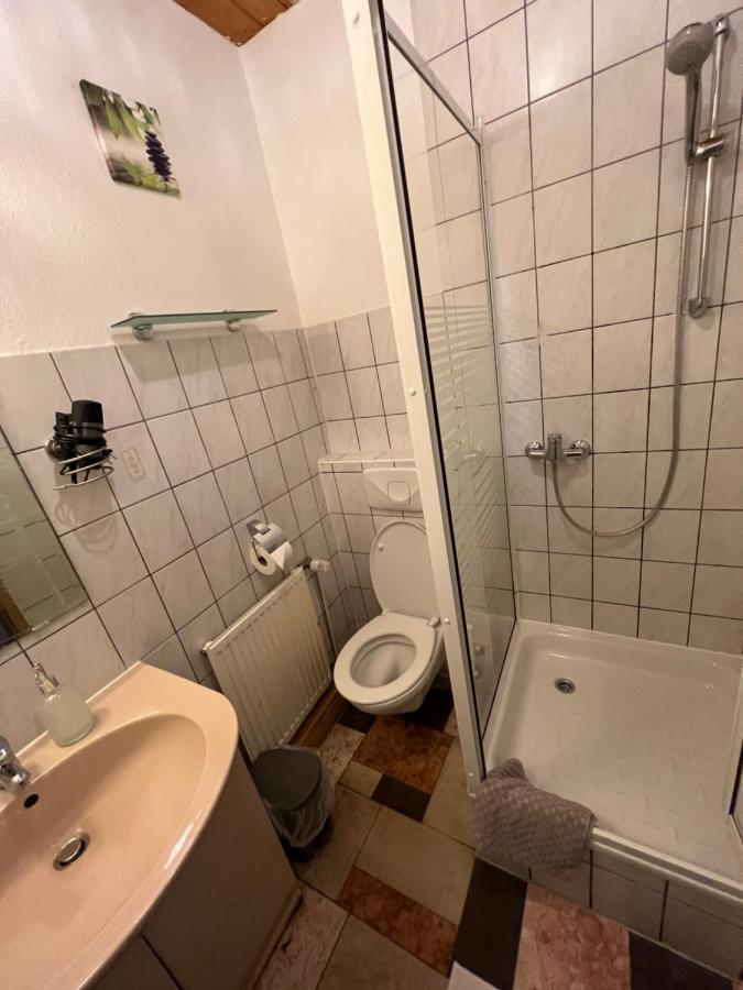 Hotel Thueringer Hof Ziegenrück Exteriér fotografie